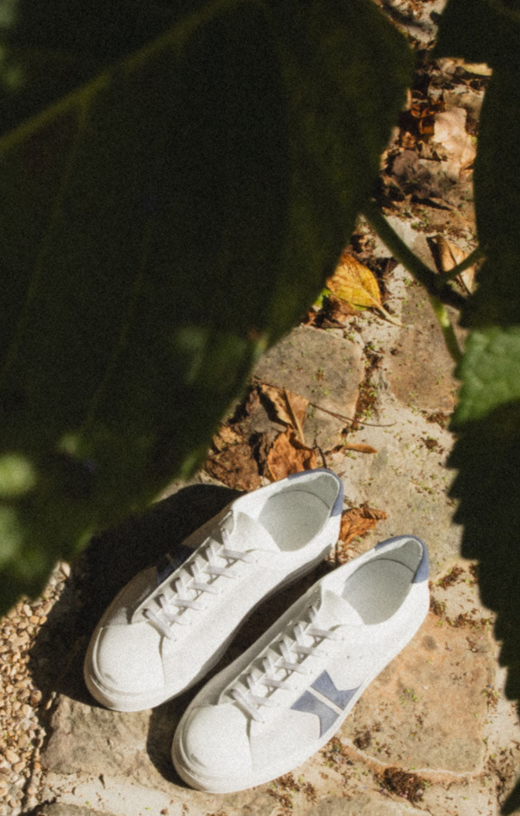 Meet the Capri Distressed