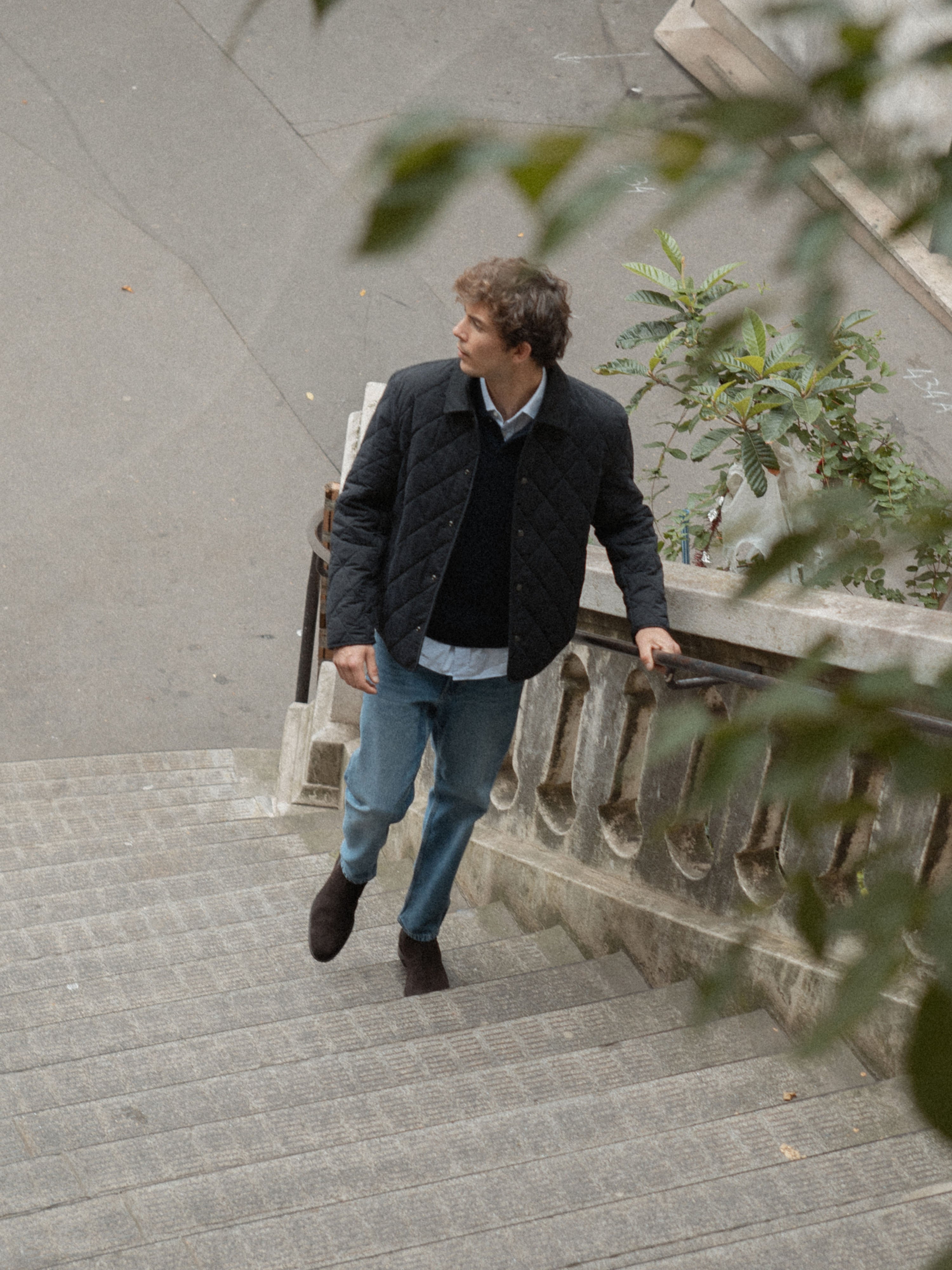 Trento in Root