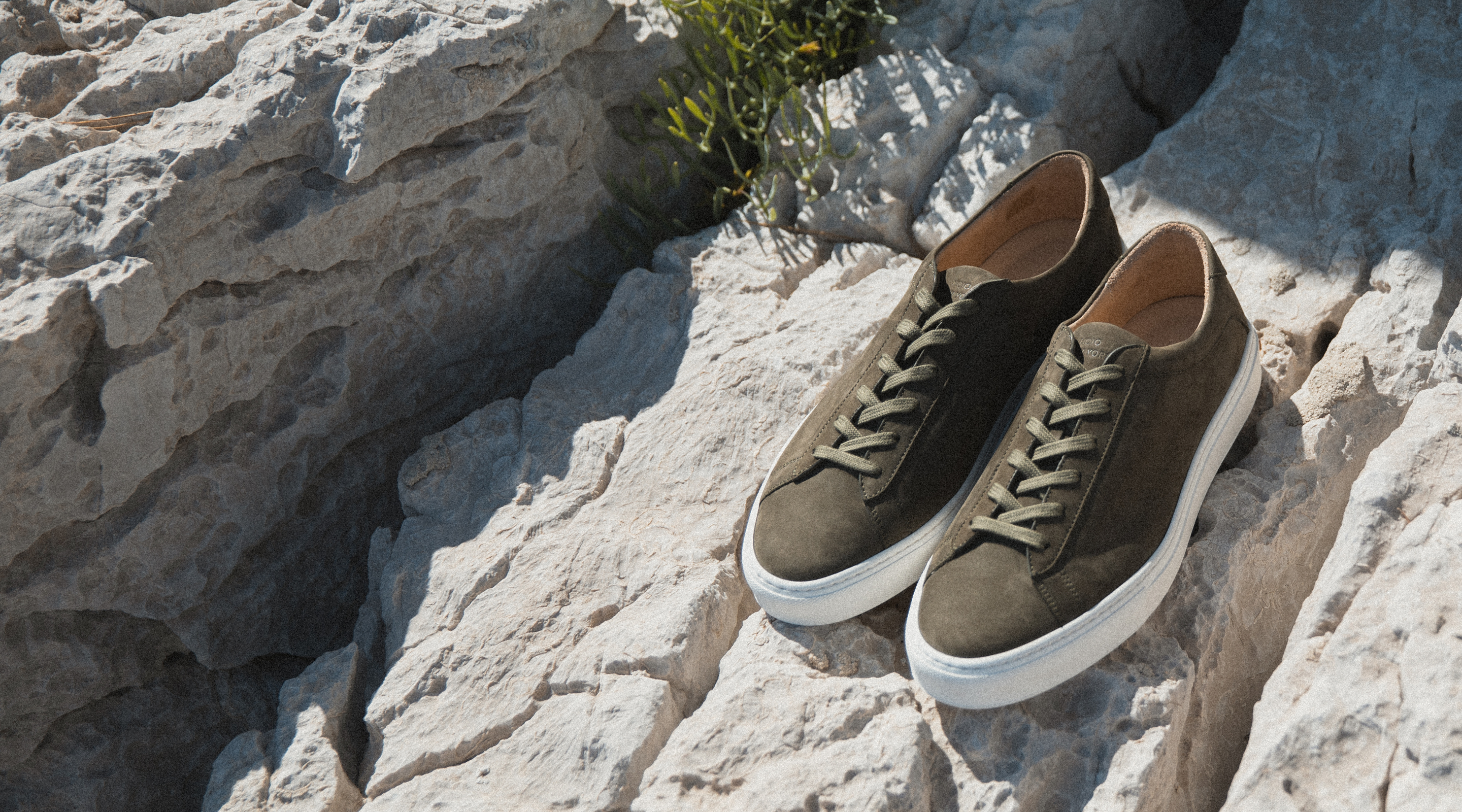 Meet the Capri