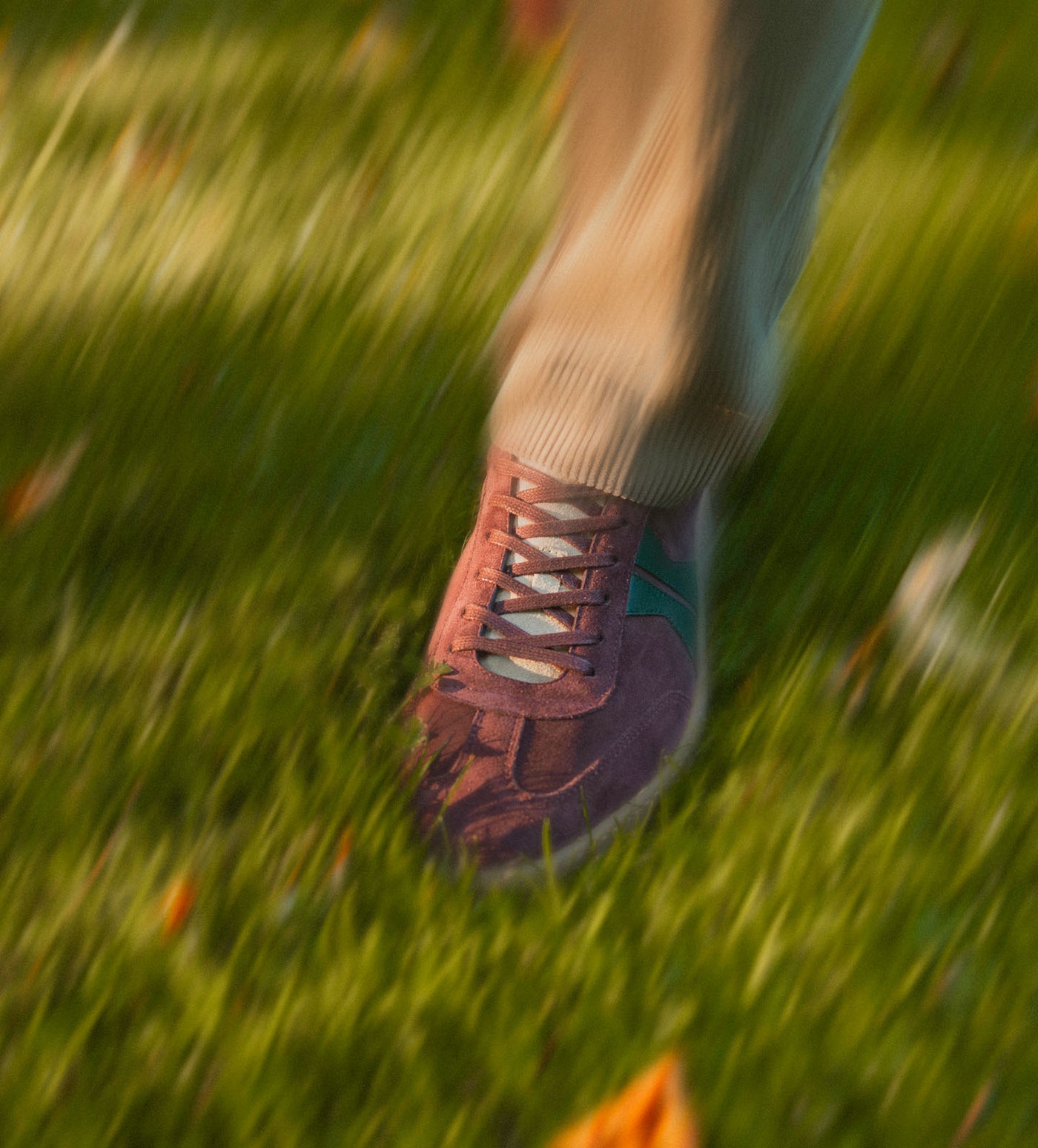 The Monza in Track