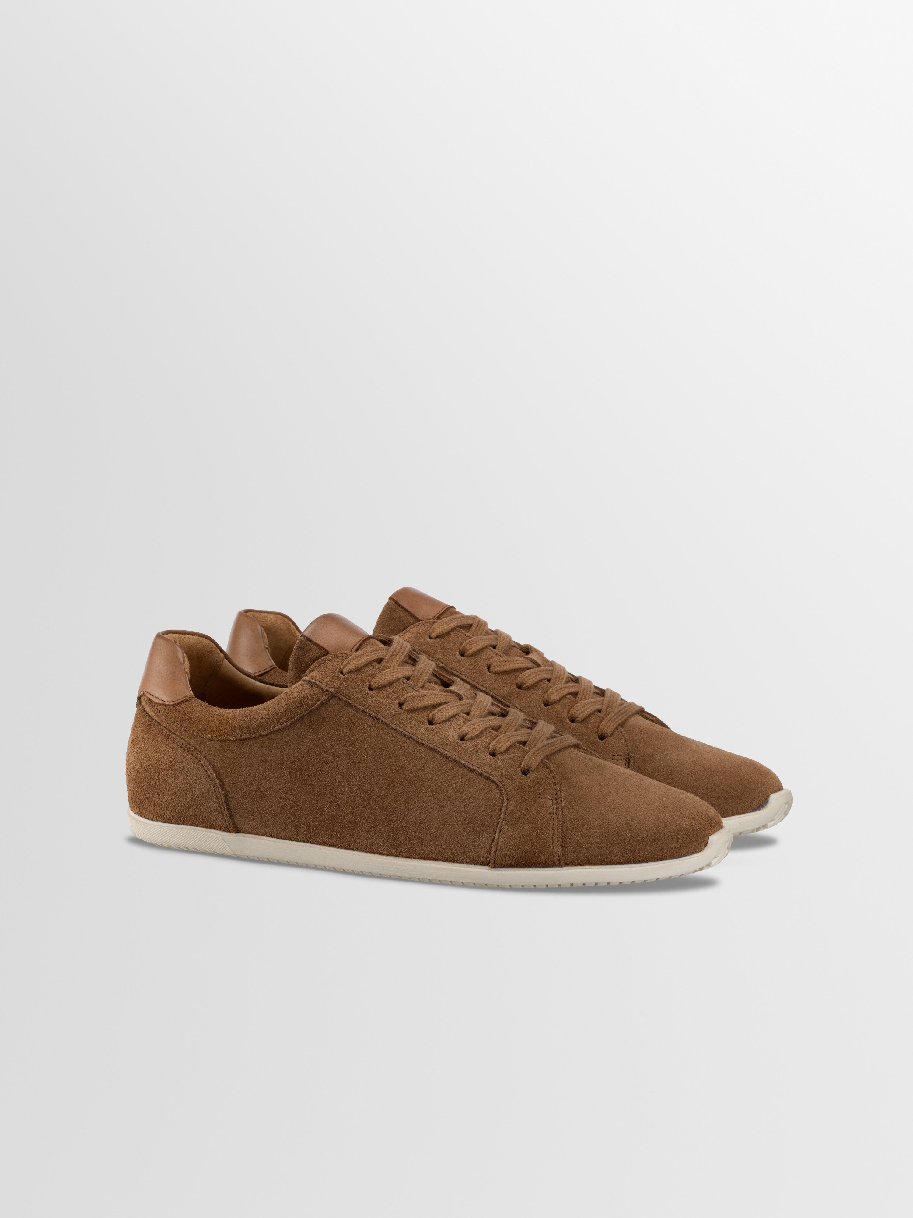 Men's Suede Sneaker | Parma in Cognac