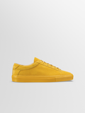 Capri in Amber
