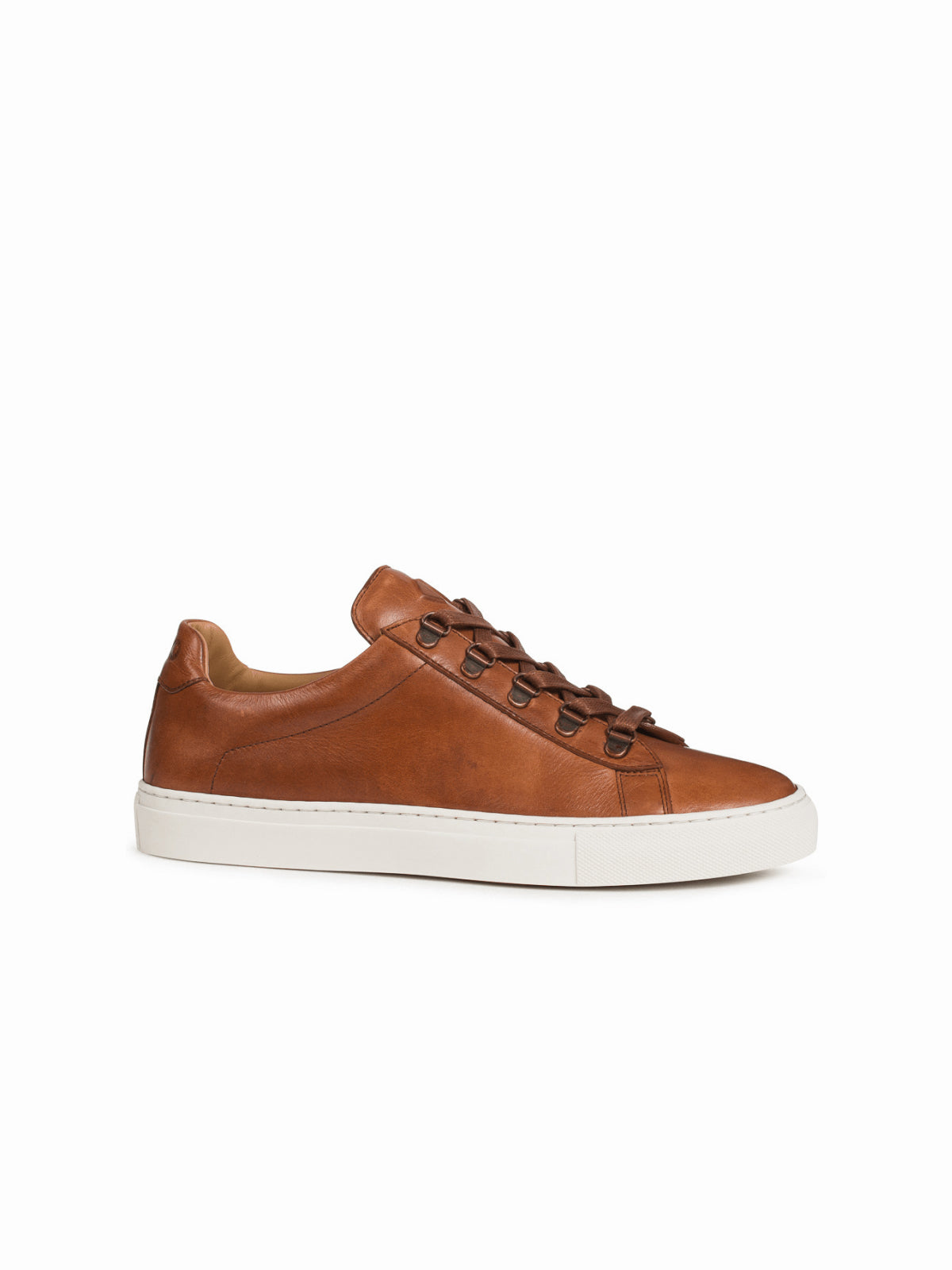Koio gavia deals