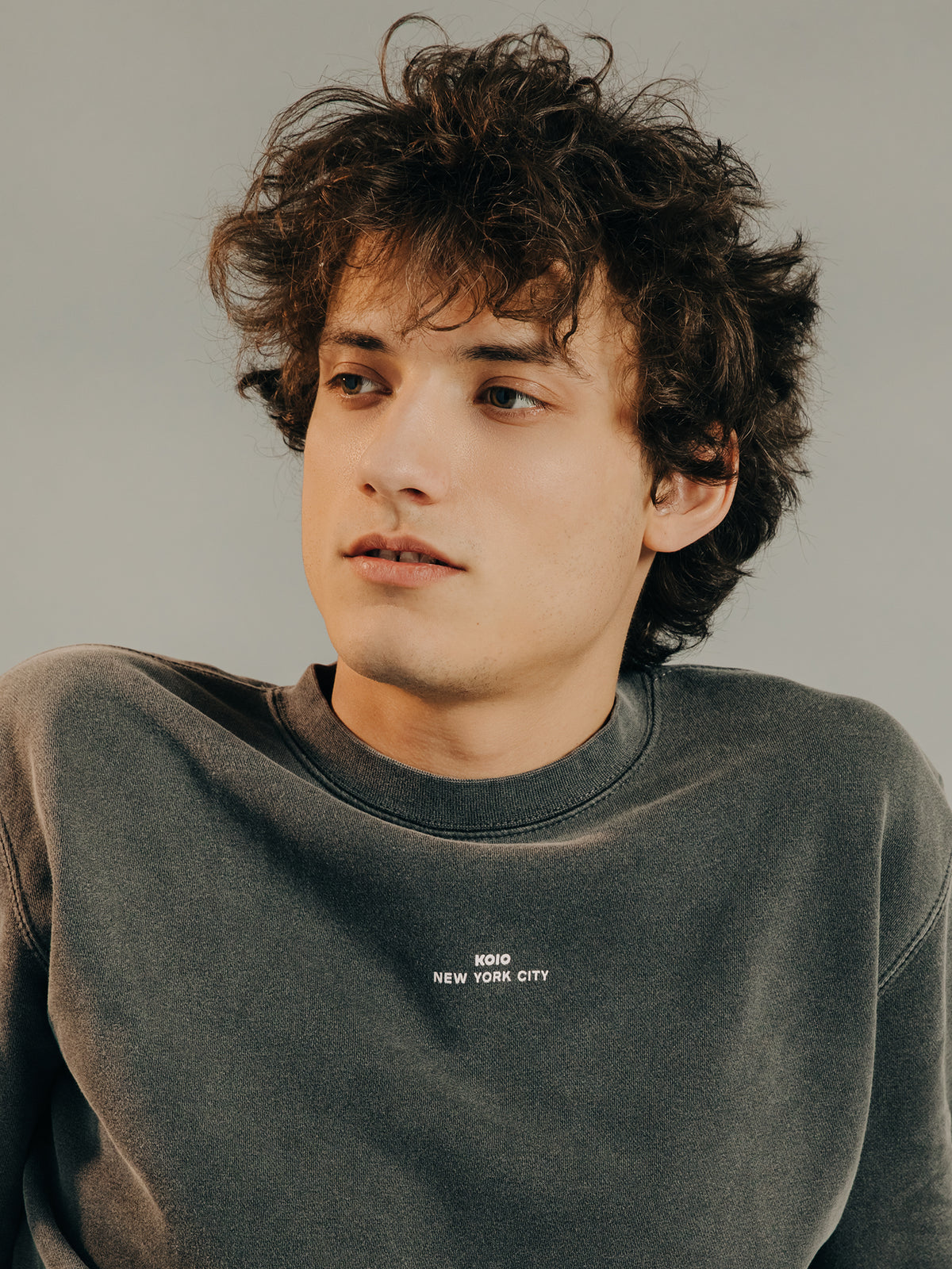 Vinci Sweatshirt in Shale